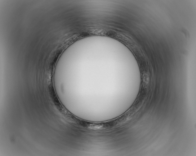 X0000112020602200908031043