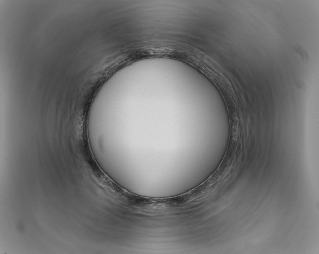 X0000112020604200908031043