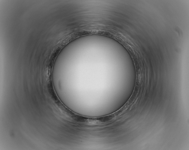 X0000112020605200908031043