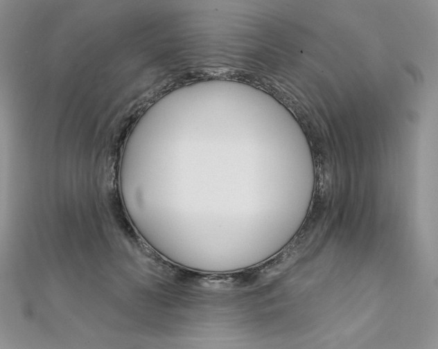 X0000112020606200908031043