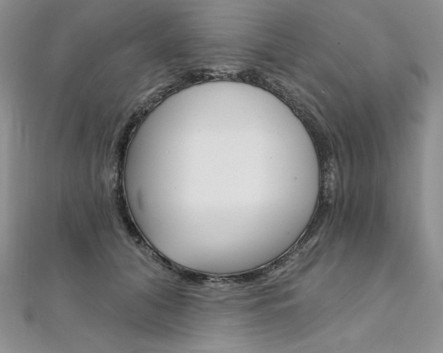 X0000112020608200908031043