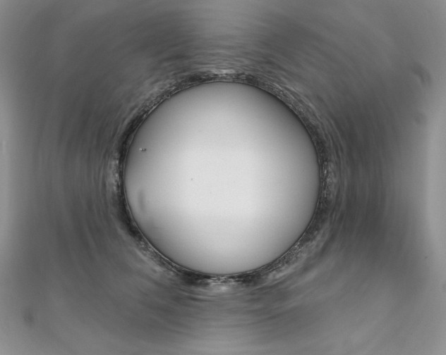 X0000112020612200908031043