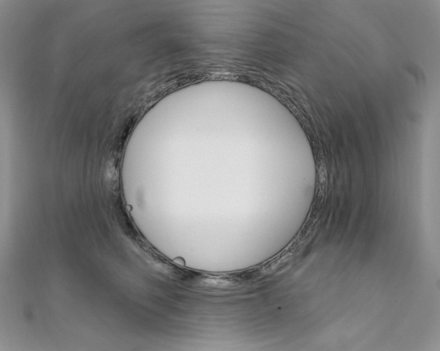 X0000112020614200908031043