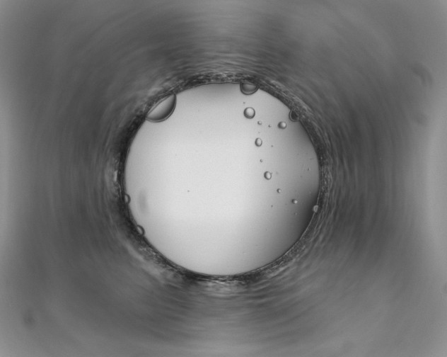 X0000112020615200908031043