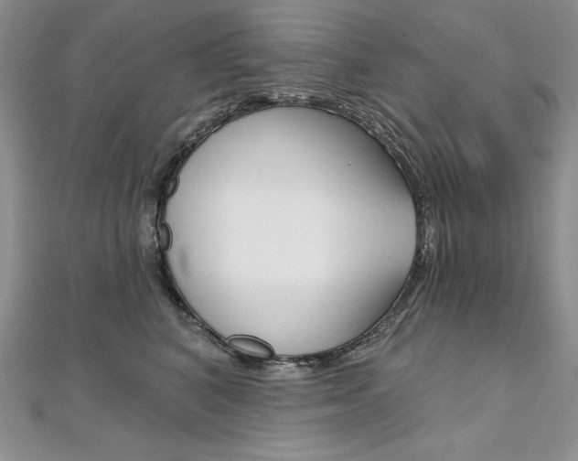X0000112020616200908031043