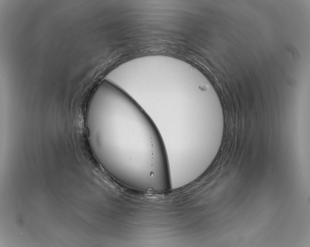 X0000112020617200908031043