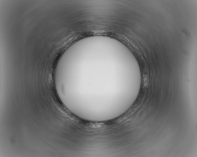 X0000112020618200908031043