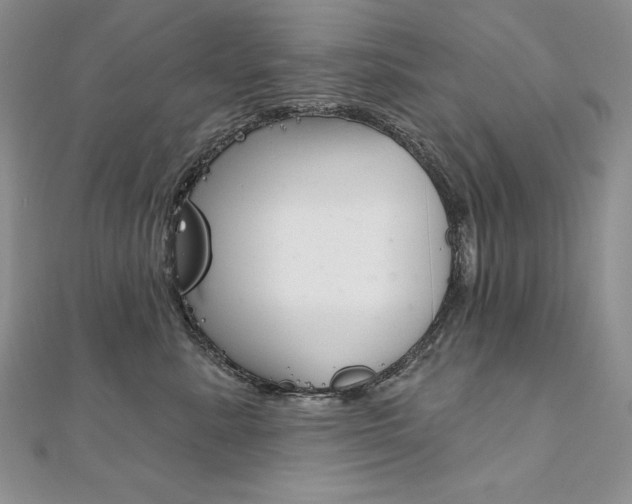 X0000112020619200908031043