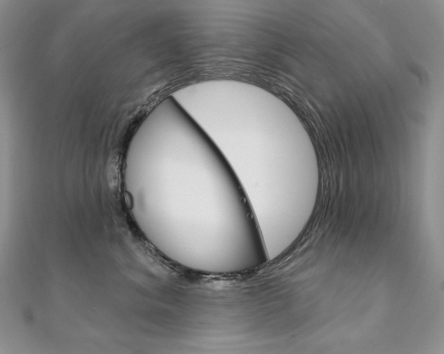 X0000112020620200908031043