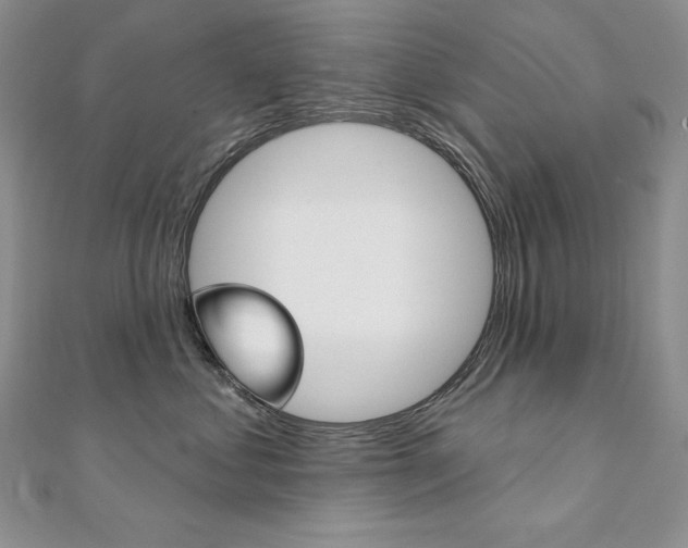 X0000112020621200908031043