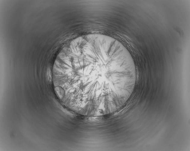 X0000112020622200908031043