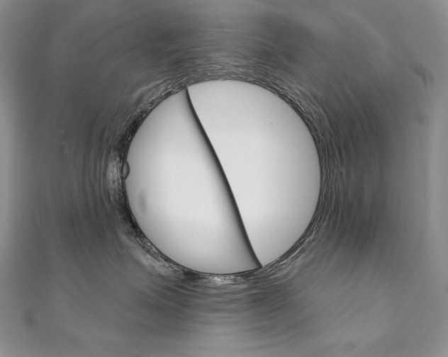 X0000112020623200908031043