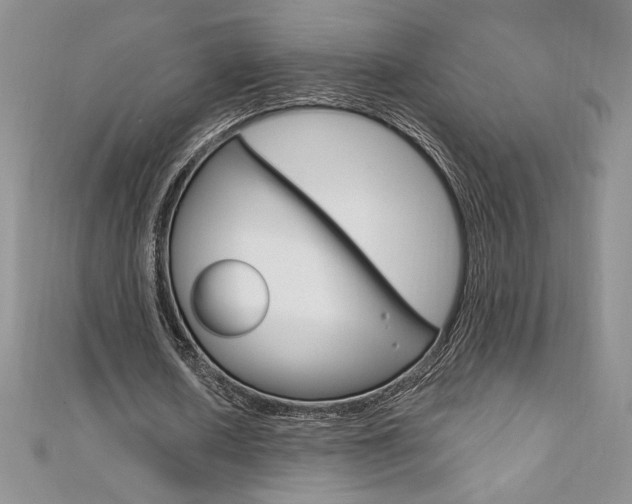 X0000112020626200908031042