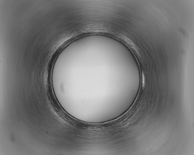 X0000112020627200908031042