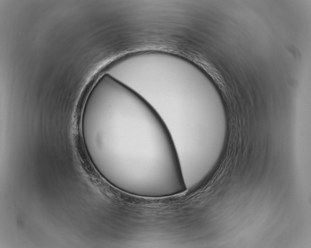 X0000112020628200908031042