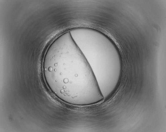 X0000112020629200908031042