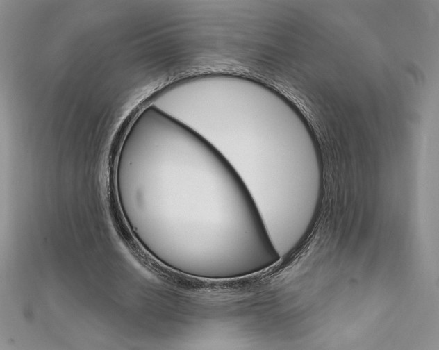 X0000112020630200908031042