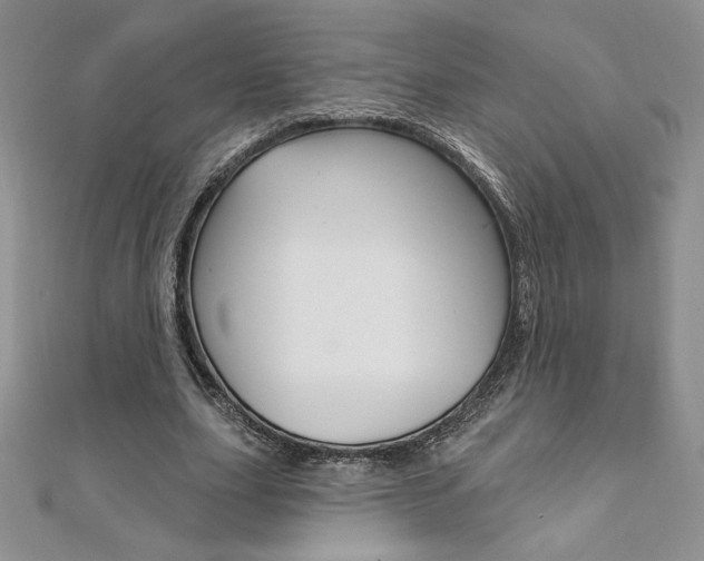 X0000112020631200908031042