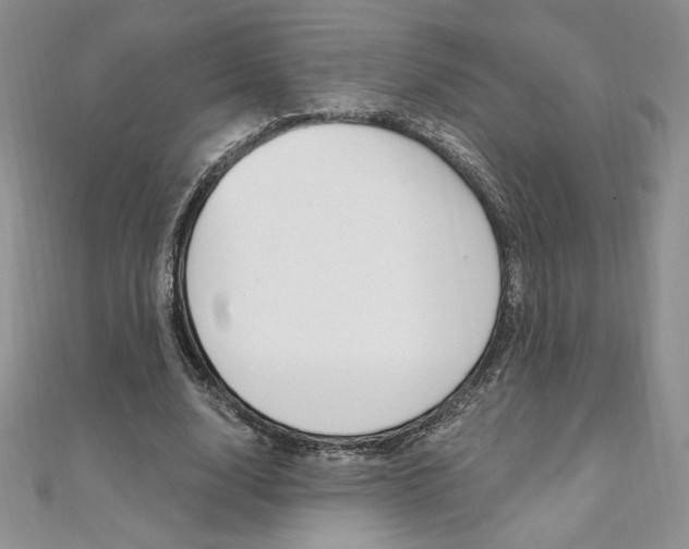 X0000112020632200908031042