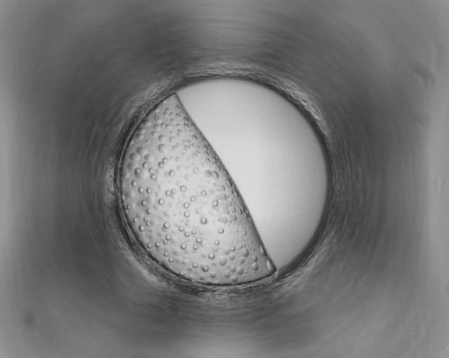 X0000112020633200908031042