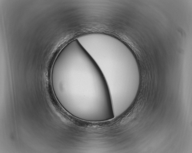 X0000112020634200908031042