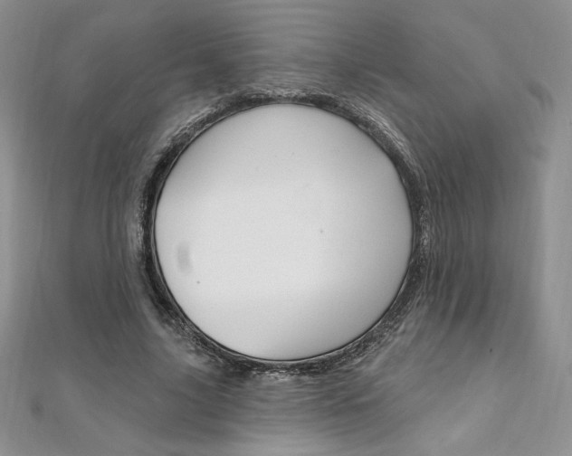 X0000112020635200908031042