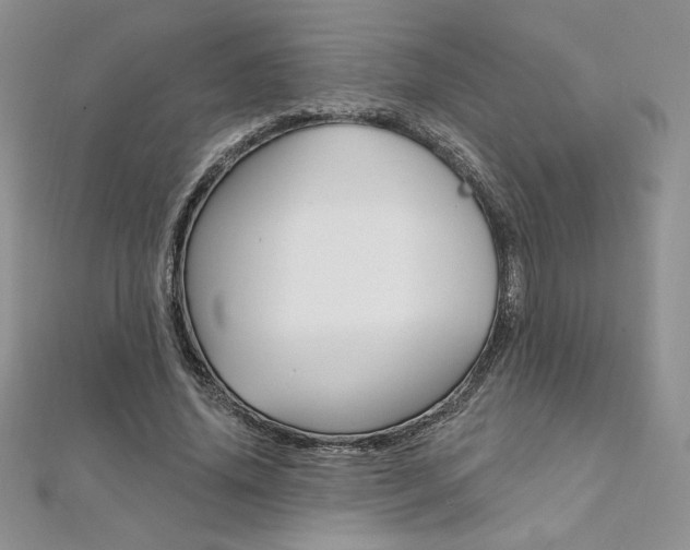 X0000112020636200908031042