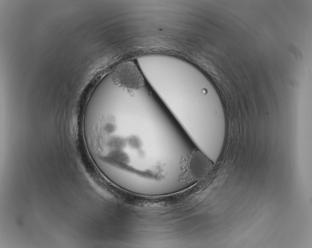 X0000112020638200908031042