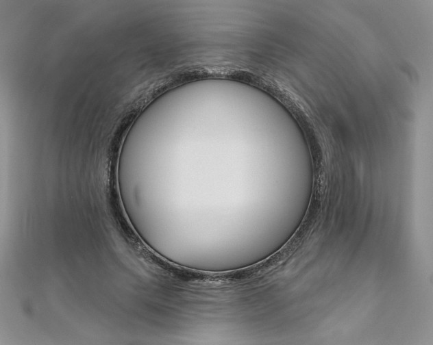 X0000112020639200908031042
