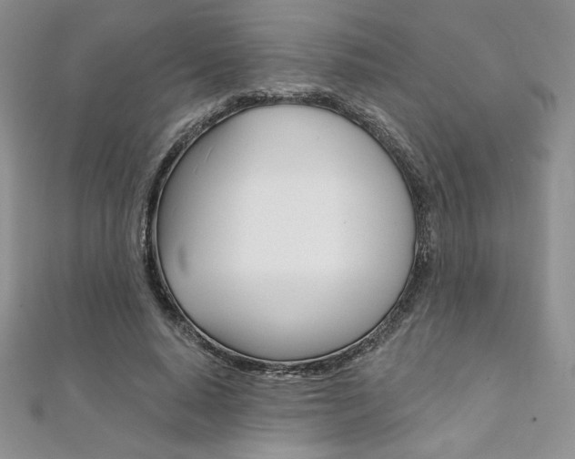 X0000112020640200908031042