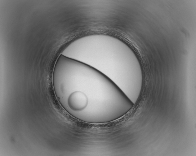 X0000112020641200908031042