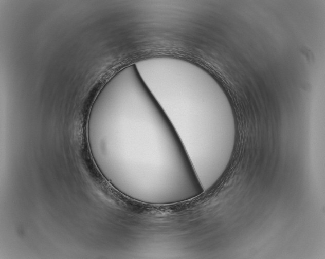X0000112020642200908031042