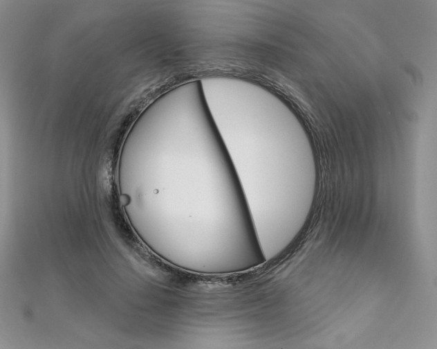 X0000112020644200908031042