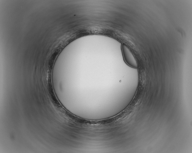 X0000112020645200908031042