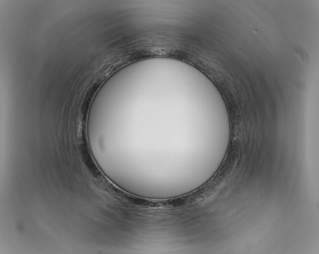 X0000112020646200908031042