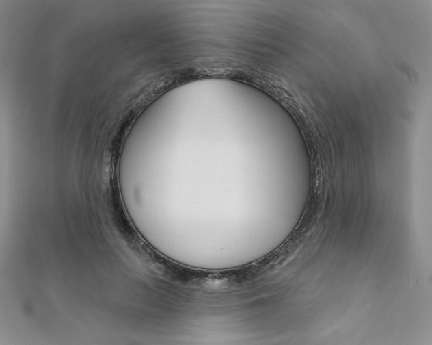 X0000112020647200908031042