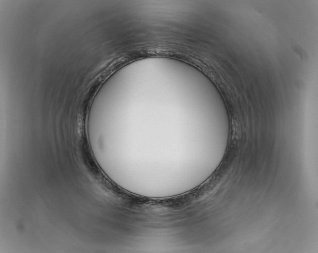 X0000112020648200908031042