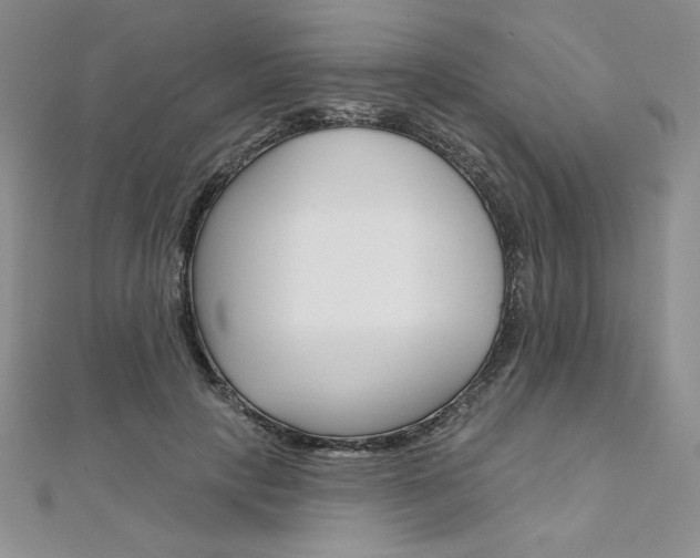 X0000112020649200908031042