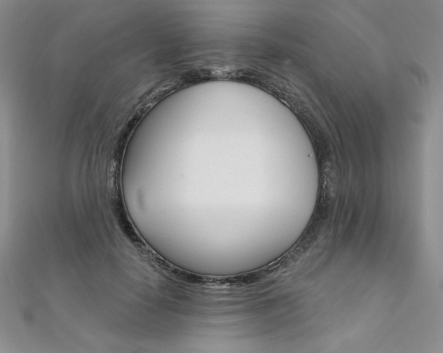 X0000112020650200908031042
