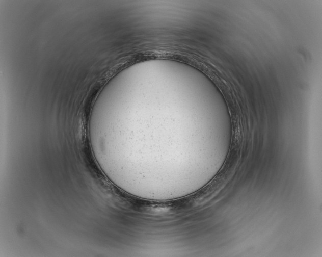 X0000112020651200908031042