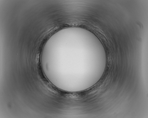 X0000112020652200908031043