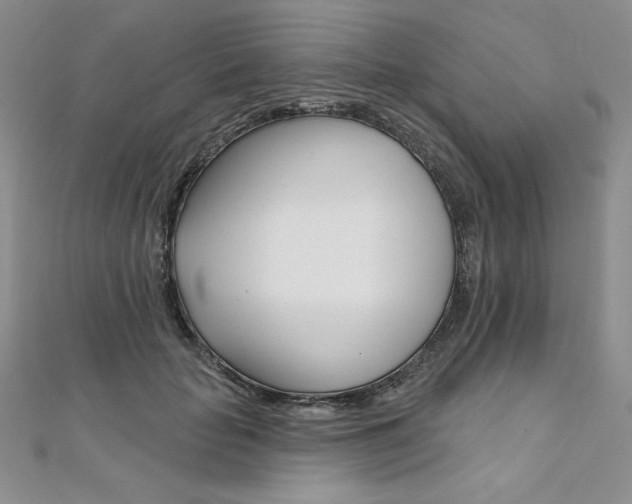 X0000112020653200908031043