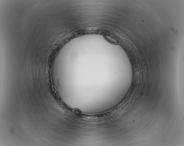 X0000112020654200908031043