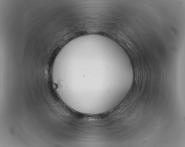 X0000112020655200908031043