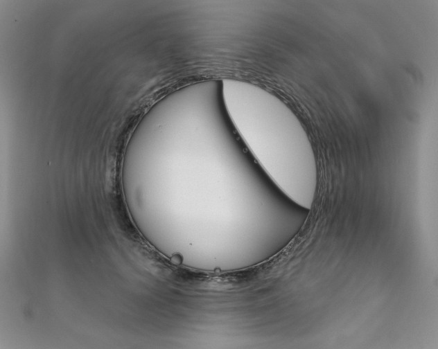 X0000112020656200908031043