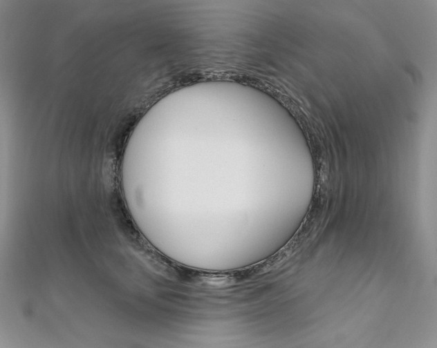 X0000112020659200908031043
