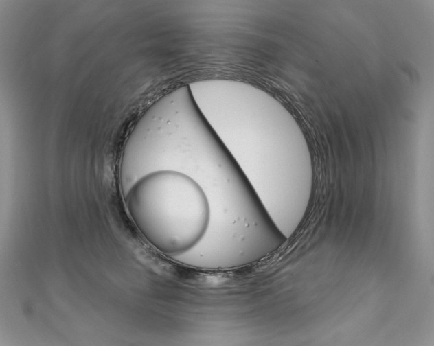 X0000112020662200908031043