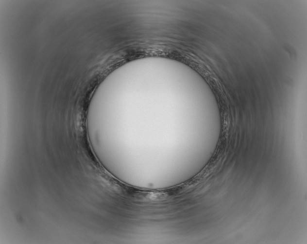 X0000112020663200908031043