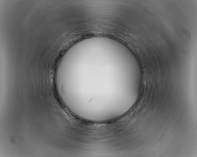 X0000112020664200908031043