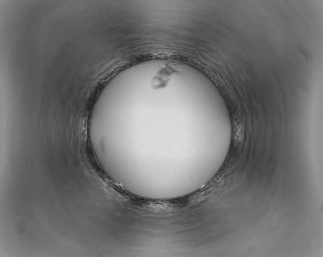 X0000112020666200908031043